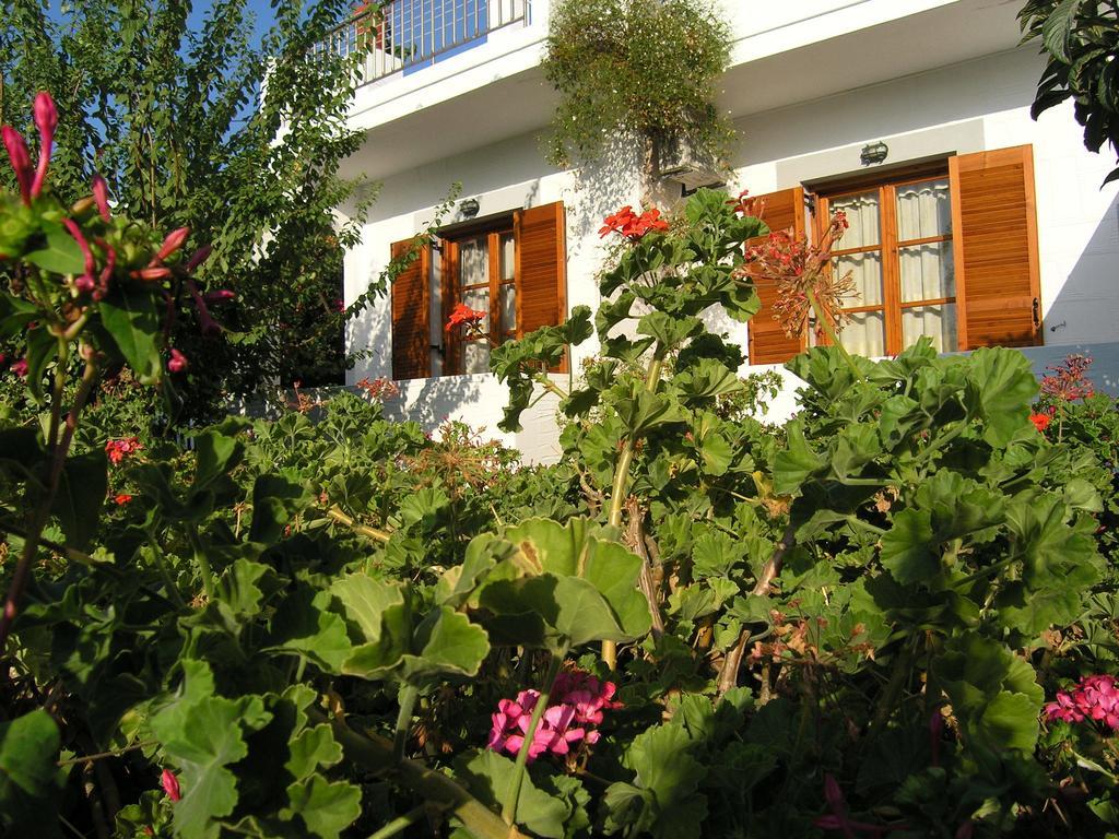 Pension Chanioti Páros Habitación foto