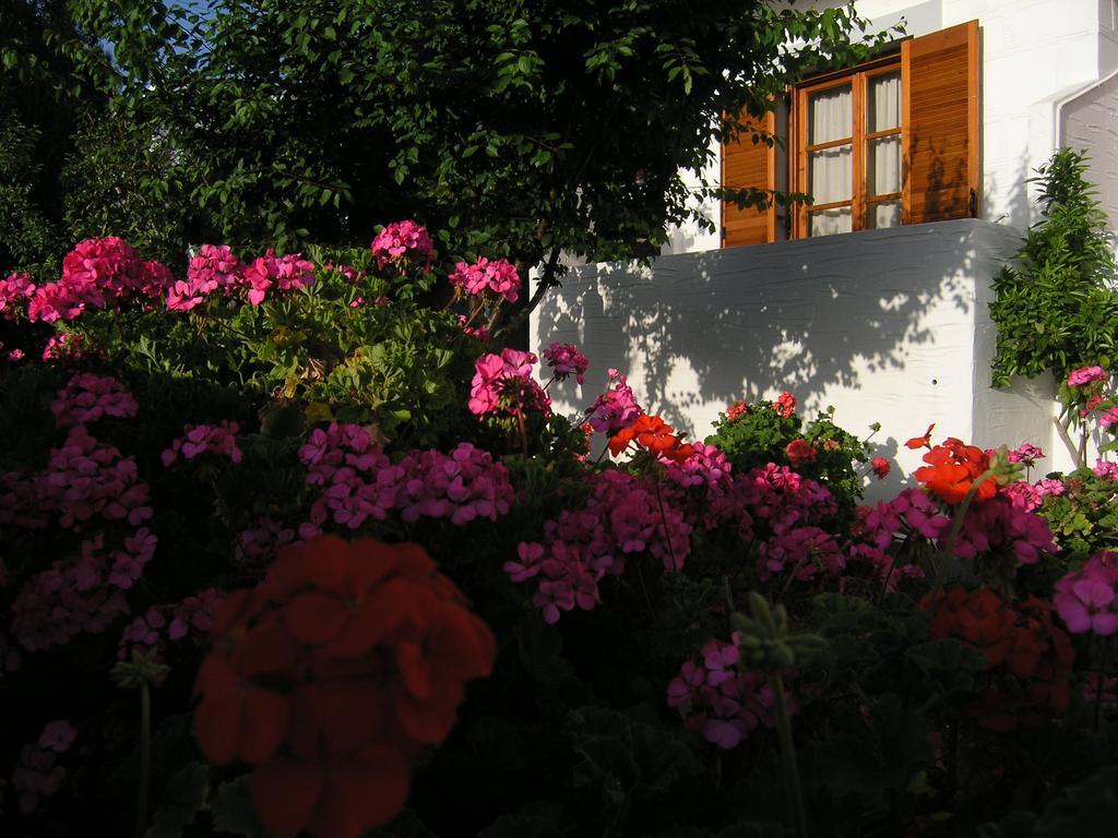 Pension Chanioti Páros Exterior foto
